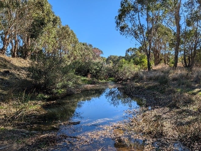 MW – GWW – Post-watering pic
