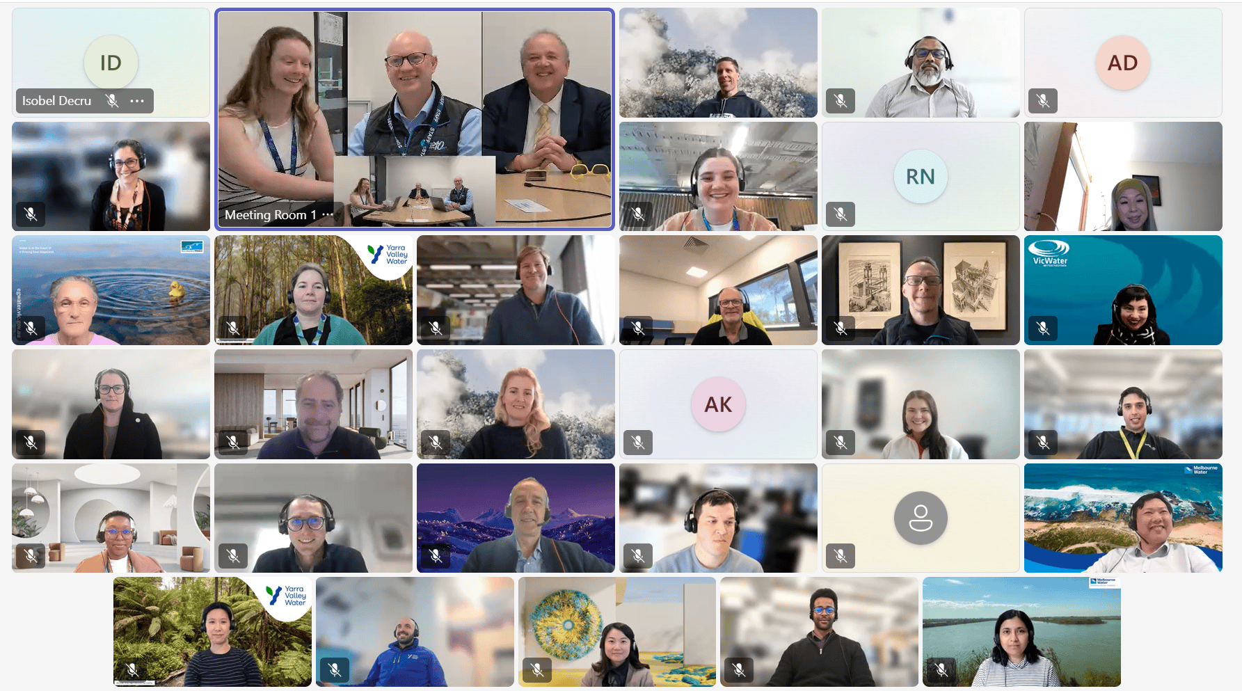 IWN Mentoring program