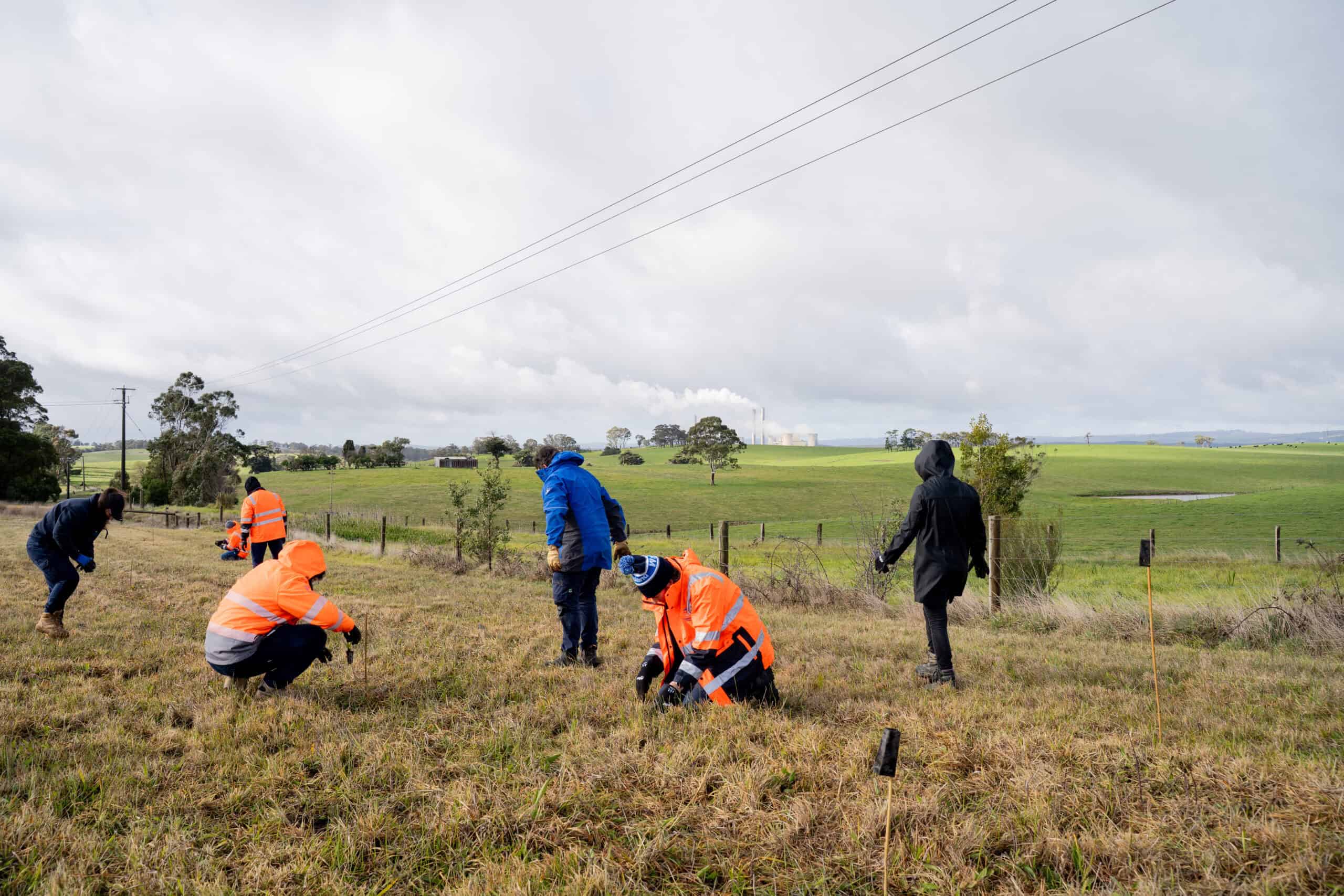 Gippsland – 10,000 native plants to take root across