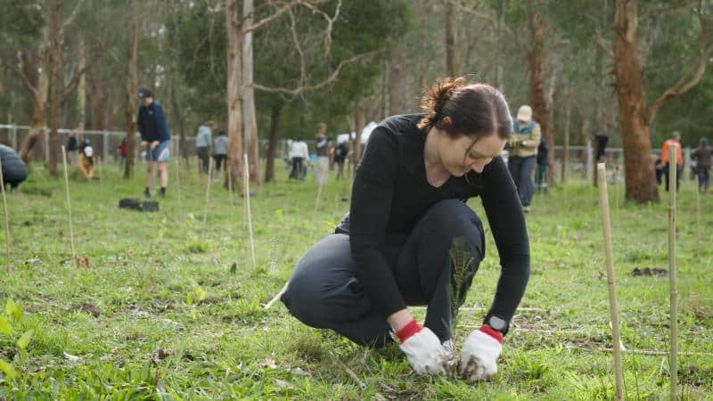 Beth Hamilton 40 years of Landcare